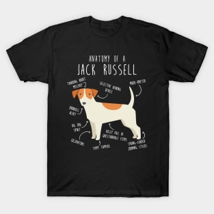 Jack Russell Terrier Dog Anatomy T-Shirt